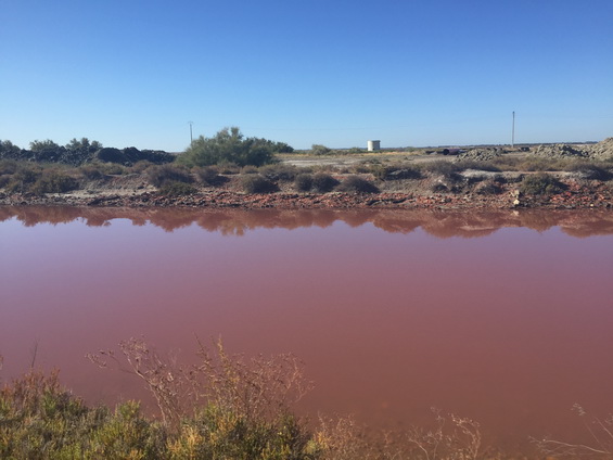 Les salins du midi